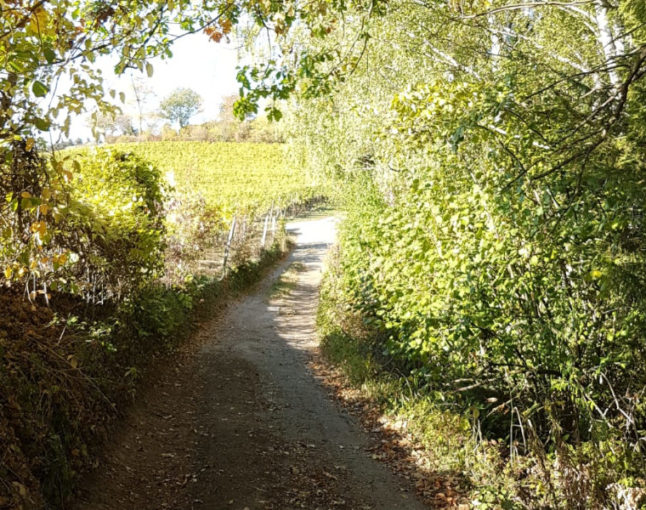 Ziele im Leben erreichen ist wie eine Wanderung