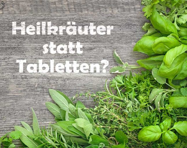 Heilkräuter statt Tabletten? Ja, es geht!